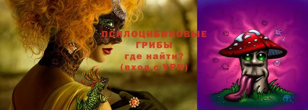 скорость Алзамай