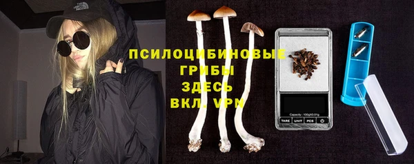 стафф Алексеевка